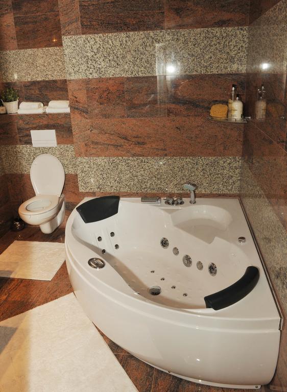 Apartment Lupacova プラハ 部屋 写真